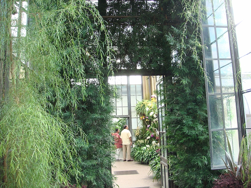 297 Longwood Gardens [2008 August 23].JPG - Longwood Gardens in Pennsylvania